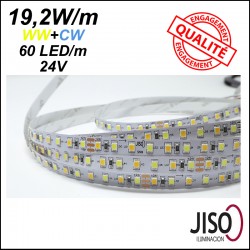 Ruban LED double couleur - Bandeau LED WW/CW