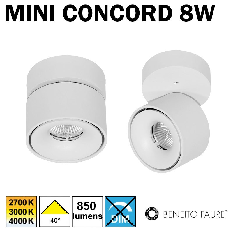 BENEITO Mini Concord 4334