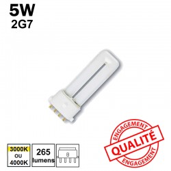 5W 2G7 - Ampoule fluo-compacte