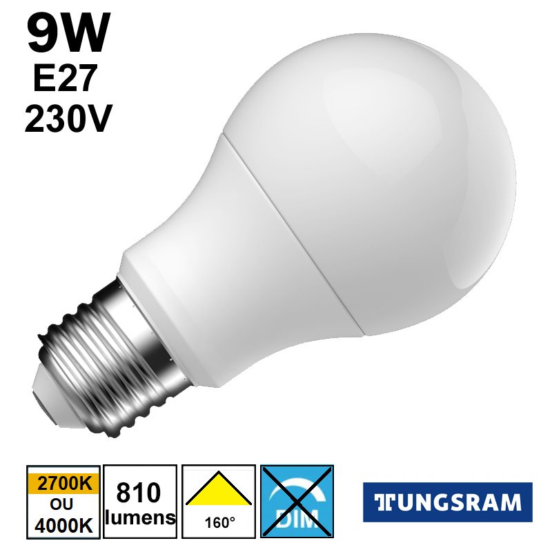 Ampoule LED économique TUNGSRAM 9W E27 230V