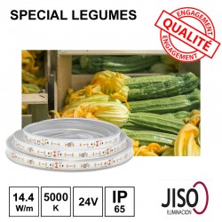 Ruban led special éclairage Légumes