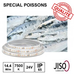 Ruban led special poissonnerie - éclairage poissons et crustacé