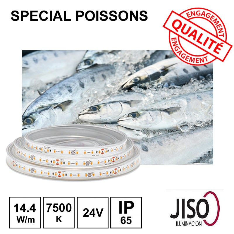 Ruban LED 14.4W/m 24Vdc IP65 - Spécial POISSONNERIE