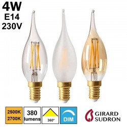 Ampoules E27, E14 & B22 LED  Ampoule LED chez bis-electric