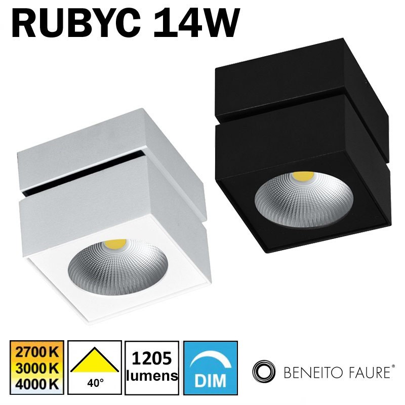 Plafonnier ou applique BENEITO RUBYC 14W