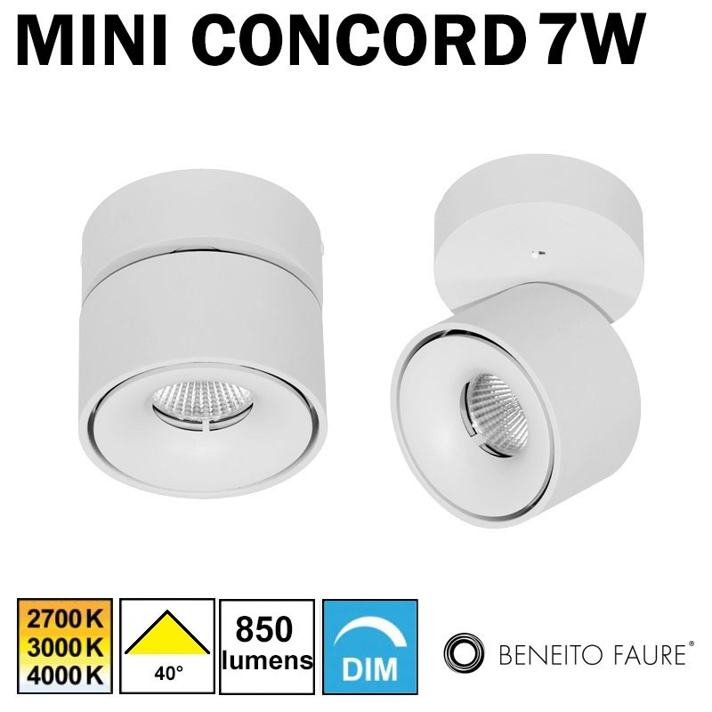 BENEITO Mini Concord 7W BLANC 4334-N