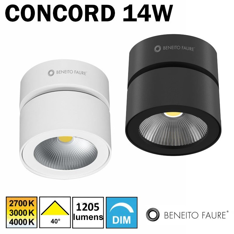 Plafonnier ou applique BENEITO CONCORD 14W