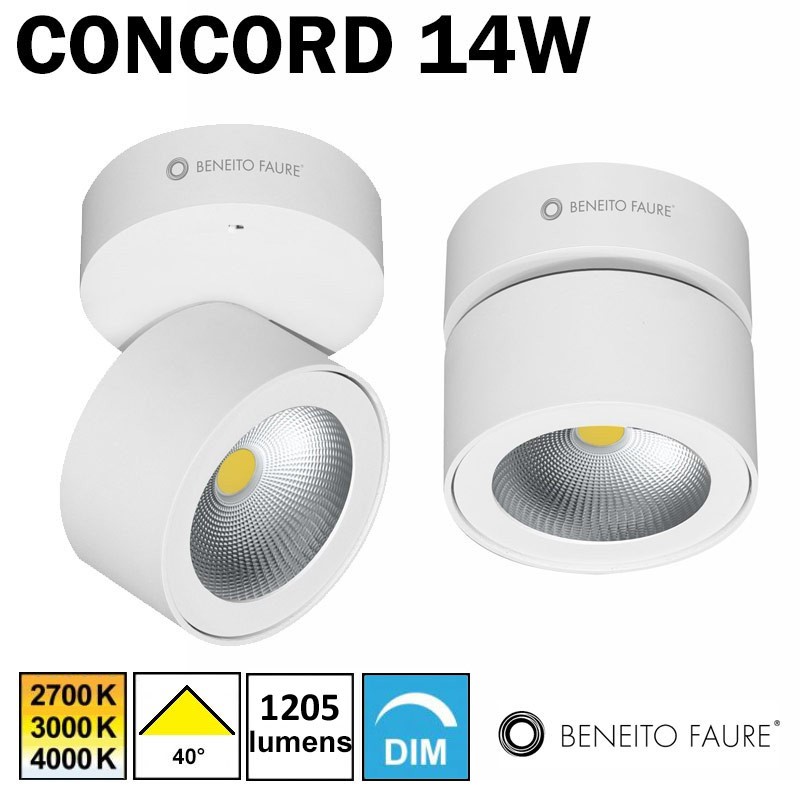 BENEITO CONCORD blanc 14W