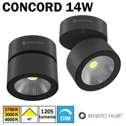 Plafonnier ou applique BENEITO CONCORD14W