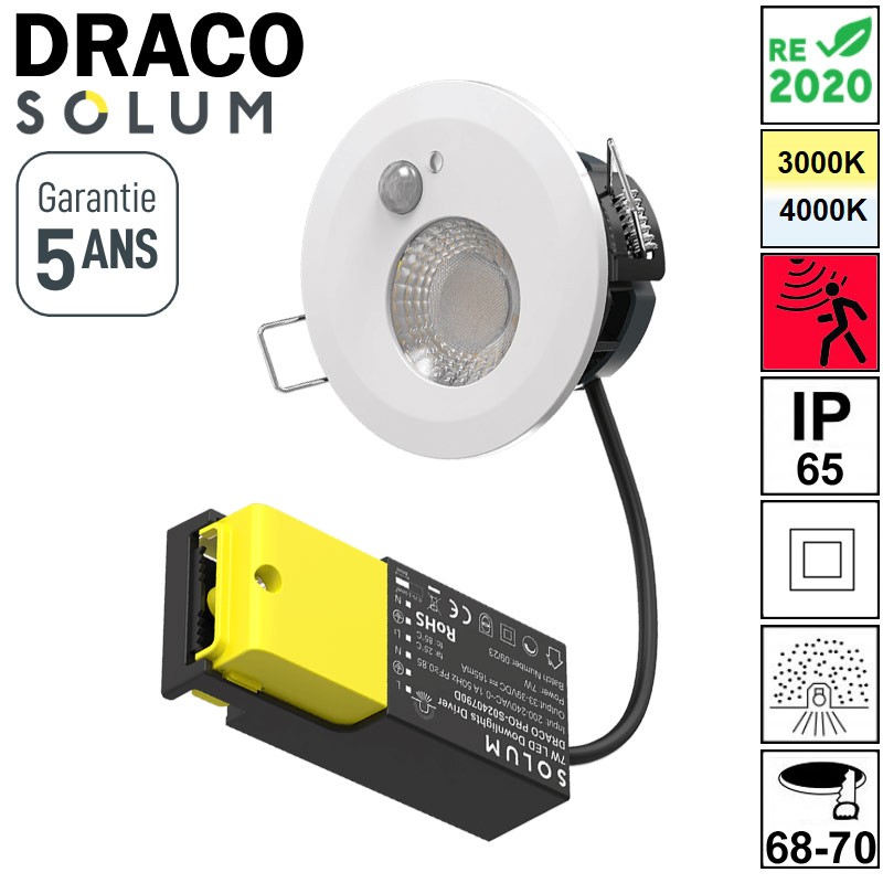 Spot avec son driver SOLUM DRACO