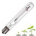 LAMPE HORTICOLE E40