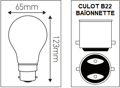 DImensions ampoule standard A65 B22