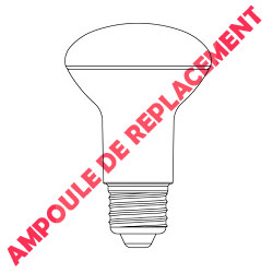 Ampoule LED R80 de remplacement