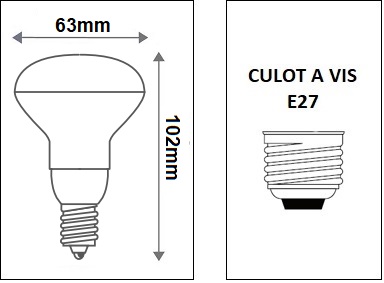 Spot LED couleur E27