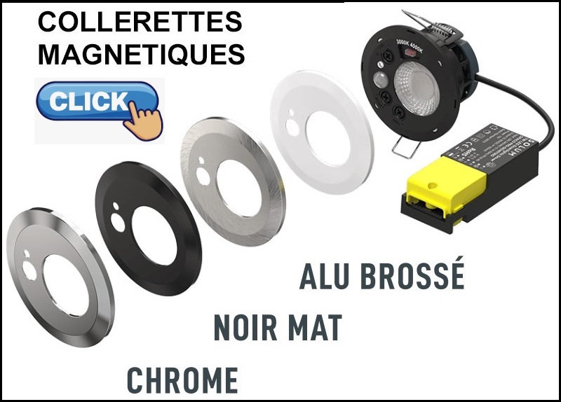 collerette draco.jpg