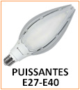 Ampoules LED forte puissance, culots E27 ou E40