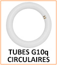 Tubes circulaires LED, culot G10q