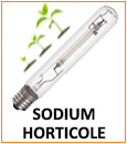 Ampoules Sodium Spéciale Horticole