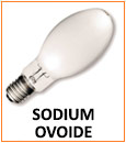 Ampoules Sodium ovoïde