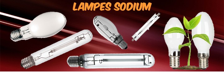 Ampoules Sodium SYLVANIA SHP